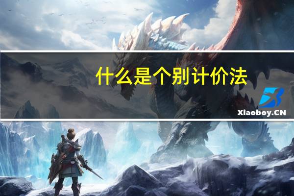 什么是个别计价法
