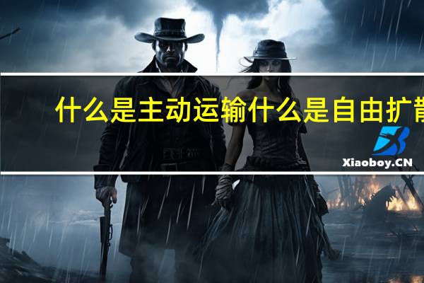 什么是主动运输 什么是自由扩散