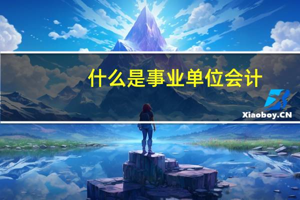 什么是事业单位会计