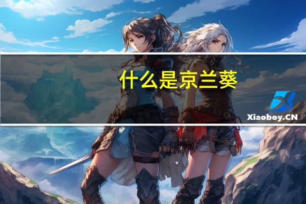 什么是京兰葵