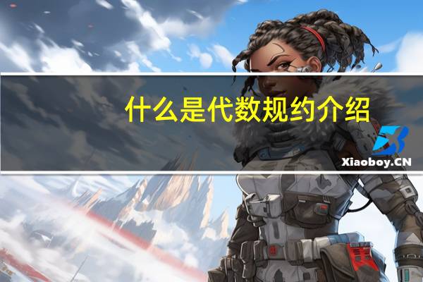 什么是代数规约介绍