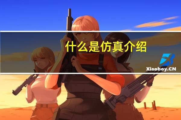 什么是仿真介绍