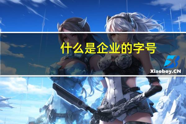 什么是企业的字号(什么是 ldquo 企业字号 rdquo)