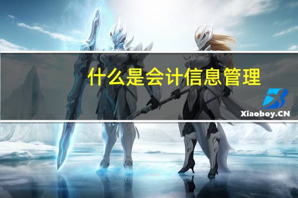 什么是会计信息管理