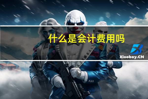 什么是会计费用吗
