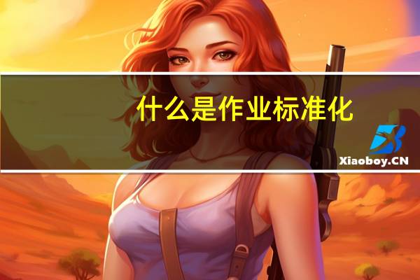 什么是作业标准化