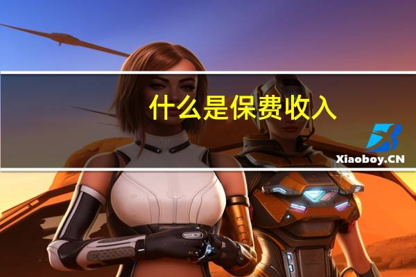 什么是保费收入