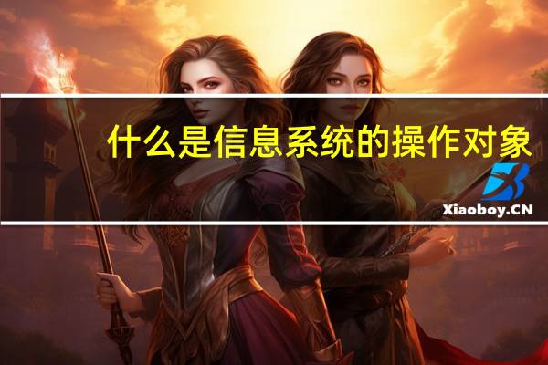 什么是信息系统的操作对象（什么是信息系统）