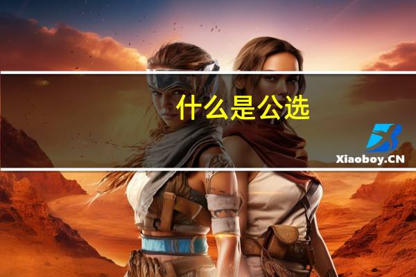 什么是公选？