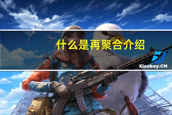 什么是再聚合介绍