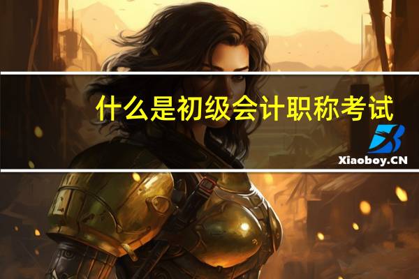 什么是初级会计职称考试