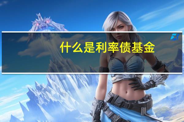 什么是利率债基金（什么是利率债）