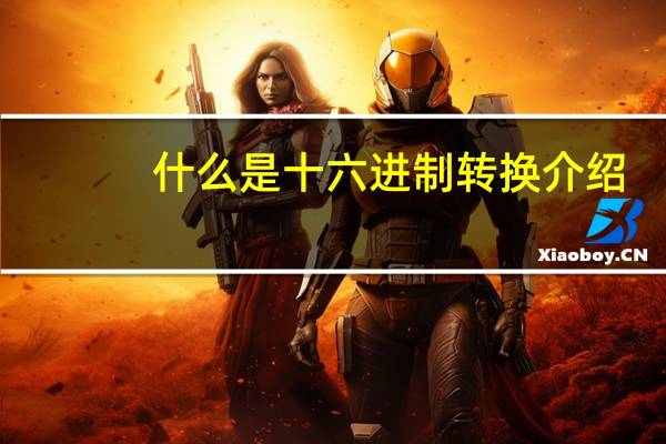 什么是十六进制转换介绍