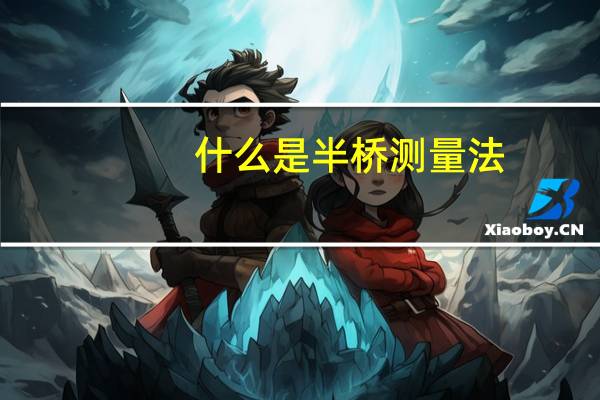 什么是半桥测量法