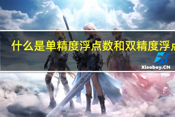 什么是单精度浮点数和双精度浮点数