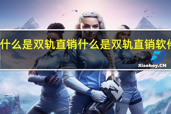 什么是双轨直销什么是双轨直销软件系统？