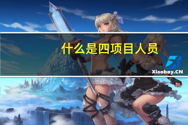 什么是四项目人员