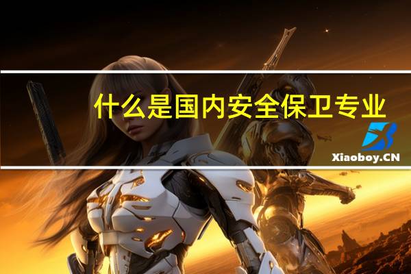 什么是国内安全保卫专业