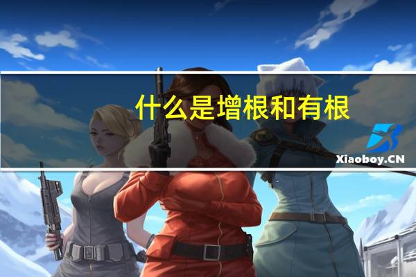 什么是增根和有根（什么是增根）