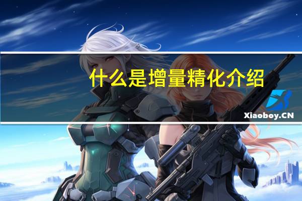 什么是增量精化介绍