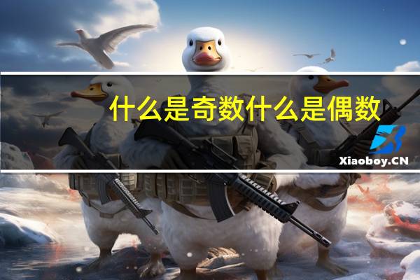 什么是奇数什么是偶数