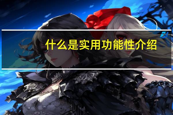 什么是实用功能性介绍
