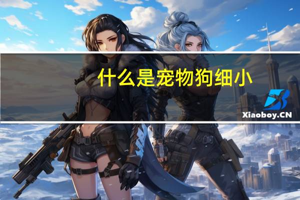 什么是宠物狗细小