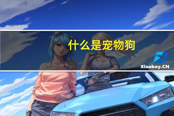 什么是宠物狗