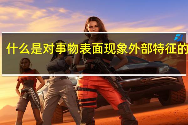 什么是对事物表面现象外部特征的认识