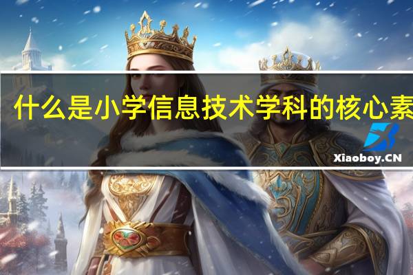 什么是小学信息技术学科的核心素养呢