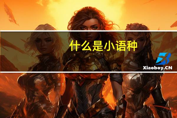 什么是小语种，小语种的范围是什么
