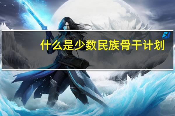 什么是少数民族骨干计划?