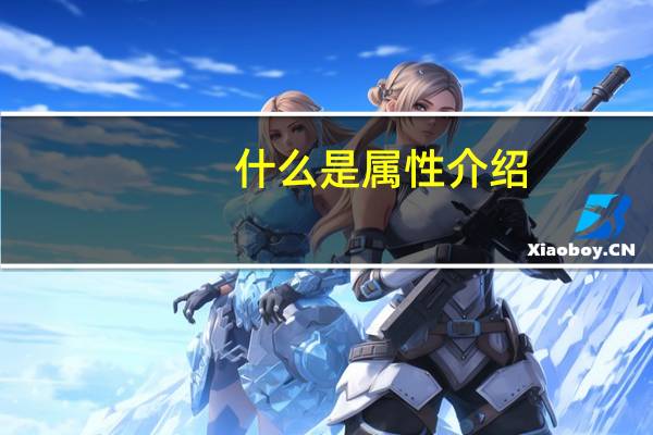 什么是属性介绍