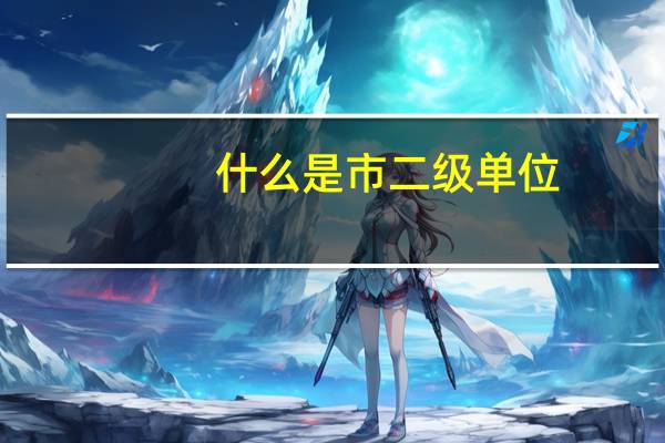 什么是市二级单位