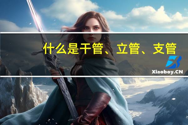 什么是干管、立管、支管