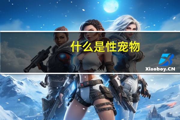 什么是性宠物