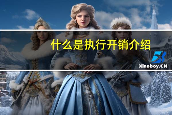 什么是执行开销介绍