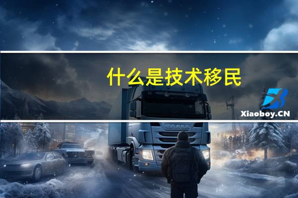 什么是技术移民