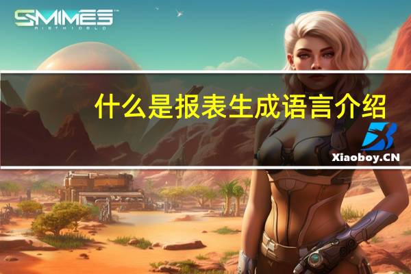 什么是报表生成语言介绍