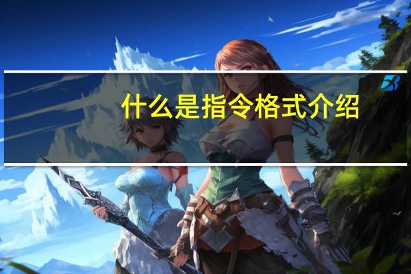 什么是指令格式介绍