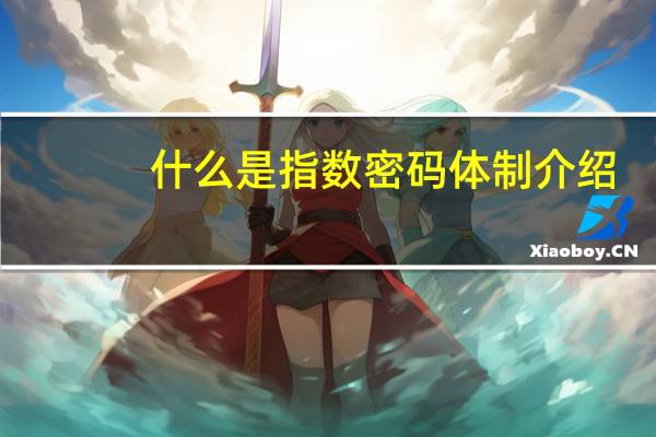 什么是指数密码体制介绍