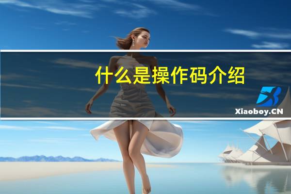什么是操作码介绍