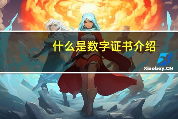 什么是数字证书介绍