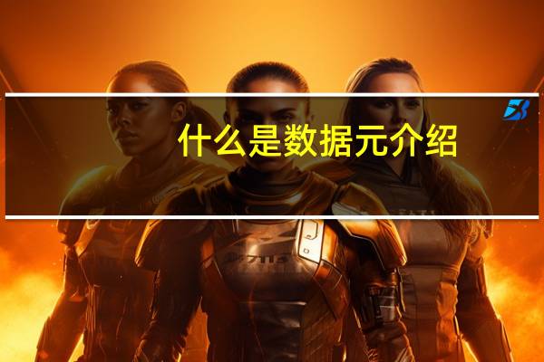 什么是数据元介绍