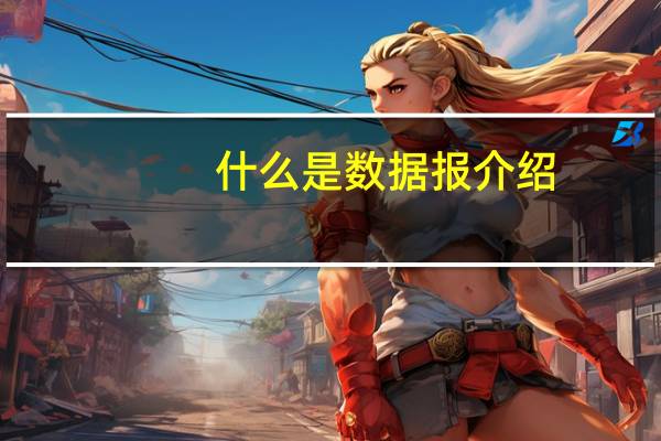 什么是数据报介绍