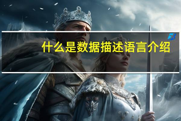 什么是数据描述语言介绍