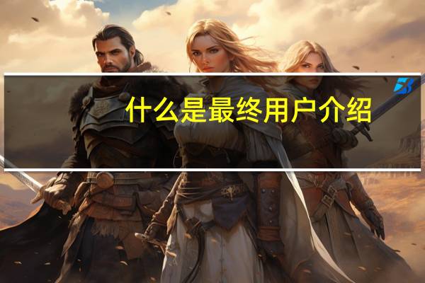 什么是最终用户介绍