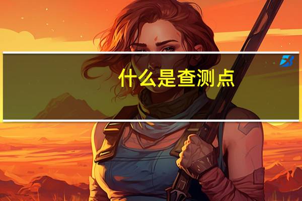 什么是查测点