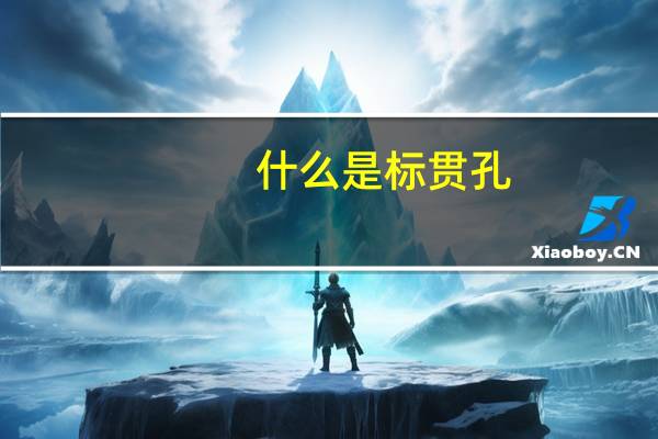 什么是标贯孔