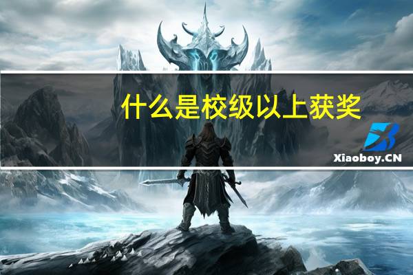 什么是校级以上获奖